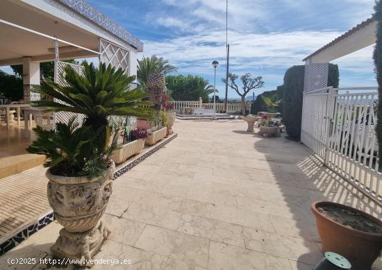 SE VENDE CHALET EN NOVELDA (ALICANTE) - ALICANTE