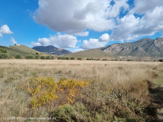 SE VENDE PARCELA EN CAÑADA DE LA LEÑA (ALGUEÑA) ALICANTE - MURCIA