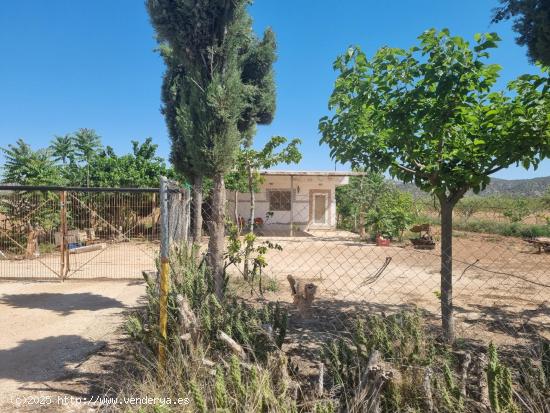 SE VENDE CASA CON TERREN EN CAÑADA DE LA LEÑA (ALGUEÑA) ALICANTE - MURCIA