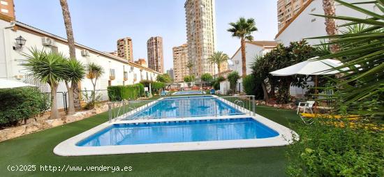 BUNGALOW PARA REFORMAR EN RINCONADA REAL ( BENIDORM ) - ALICANTE