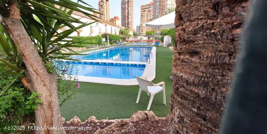 BUNGALOW PARA REFORMAR EN RINCONADA REAL ( BENIDORM ) - ALICANTE