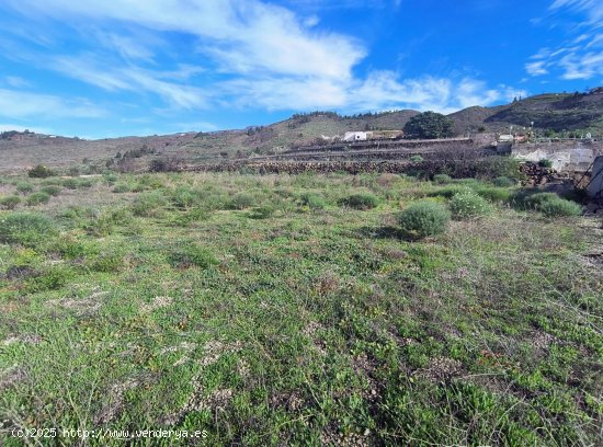 Finca en venta en Santa Cruz de Tenerife (Tenerife)