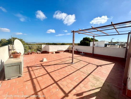 Bungalow en venta en Torrevieja (Alicante)