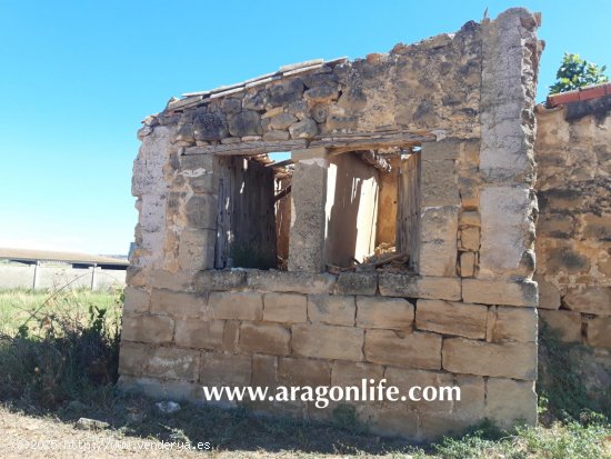 Finca en venta en Caspe (Zaragoza)