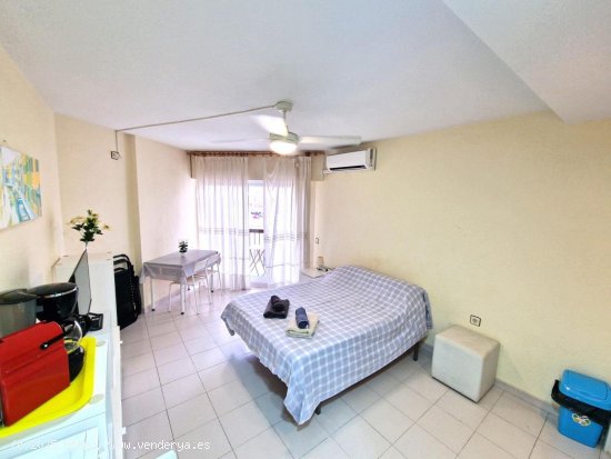 Estudio en venta en Torrevieja (Alicante)