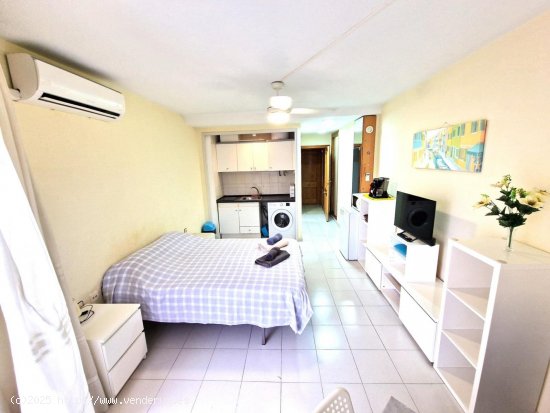 Estudio en venta en Torrevieja (Alicante)