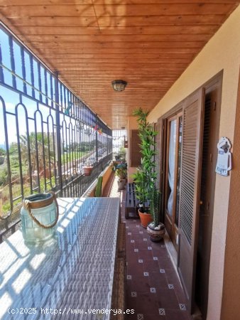 Apartamento en venta en Torrevieja (Alicante)