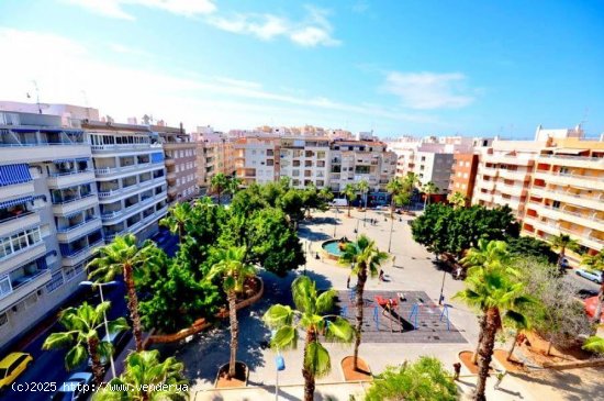 Piso en venta en Torrevieja (Alicante)