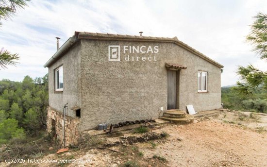  Finca en venta en Benifallet (Tarragona) 