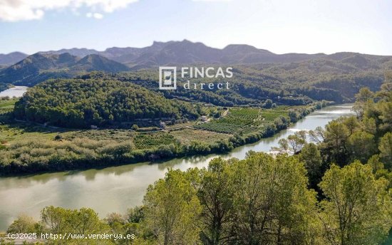 Finca en venta en Benifallet (Tarragona)