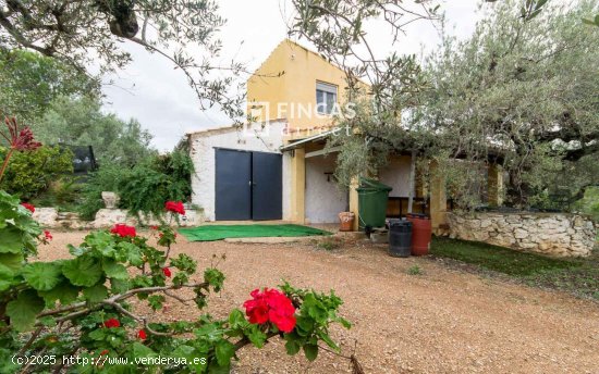 Finca en venta en Tortosa (Tarragona)