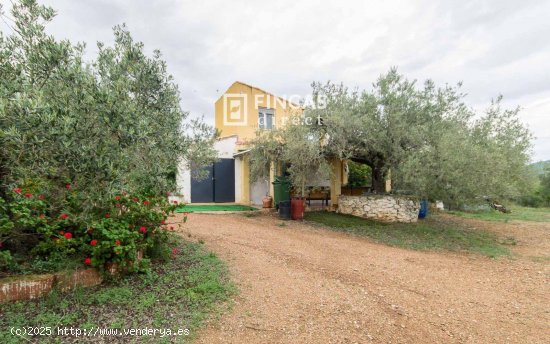 Finca en venta en Tortosa (Tarragona)