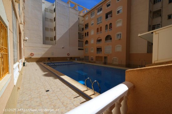 Apartamento en venta en Torrevieja (Alicante)