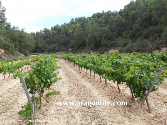 Finca en venta en Caseres (Tarragona)