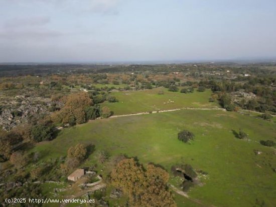 Finca en venta en Valencia de Alcántara (Cáceres)