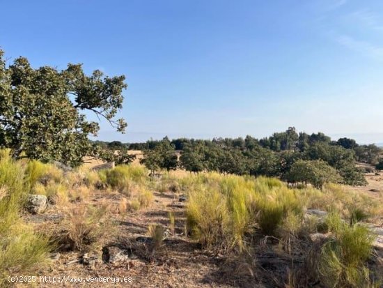 Finca en venta en Valencia de Alcántara (Cáceres)