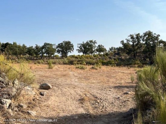 Finca en venta en Valencia de Alcántara (Cáceres)