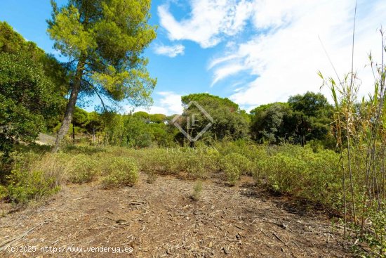 Parcela en venta en Sant Andreu de Llavaneres (Barcelona)