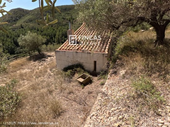 Finca en venta en Tortosa (Tarragona)