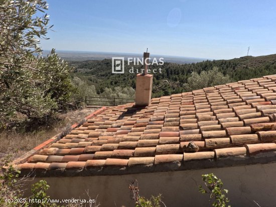 Finca en venta en Tortosa (Tarragona)