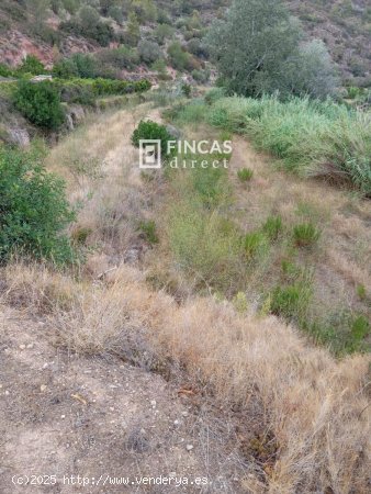 Finca en venta en Benifallet (Tarragona)