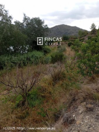 Finca en venta en Benifallet (Tarragona)