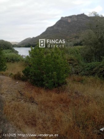 Finca en venta en Benifallet (Tarragona)