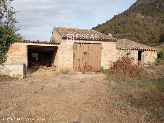 Finca en venta en Benifallet (Tarragona)