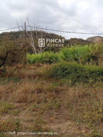 Finca en venta en Benifallet (Tarragona)