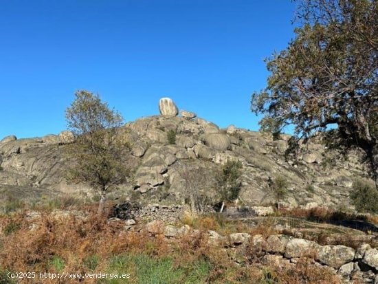 Finca en venta en Valencia de Alcántara (Cáceres)