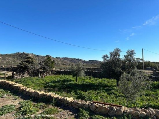 Finca en venta en Valencia de Alcántara (Cáceres)