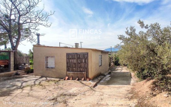 Finca en venta en Tortosa (Tarragona)