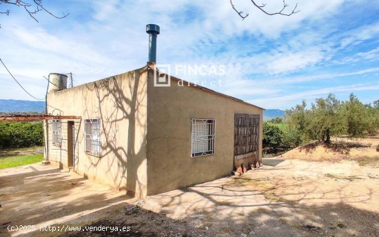 Finca en venta en Tortosa (Tarragona)