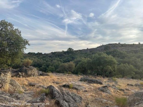 Finca en venta en Valencia de Alcántara (Cáceres)