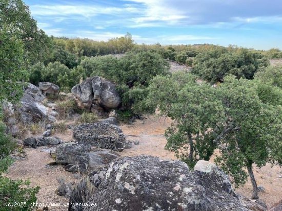 Finca en venta en Valencia de Alcántara (Cáceres)