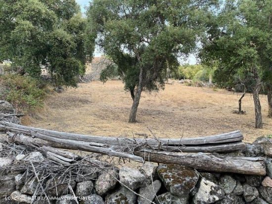 Finca en venta en Valencia de Alcántara (Cáceres)