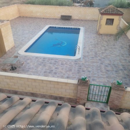 Villa en alquiler en Murcia (Murcia)