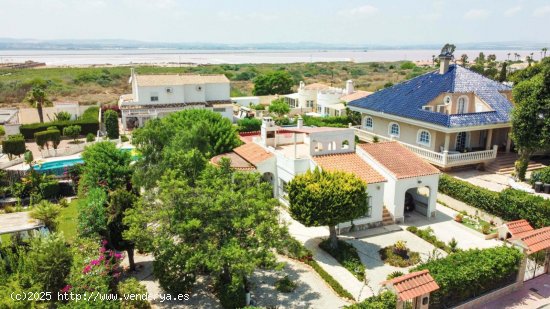 Villa en venta en Torrevieja (Alicante)