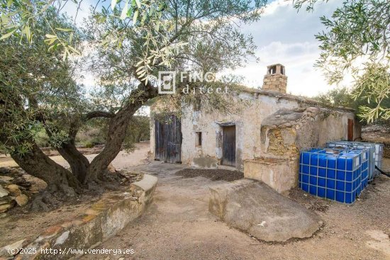 Finca en venta en Tortosa (Tarragona)