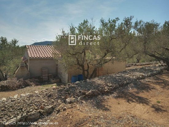 Finca en venta en Tortosa (Tarragona)