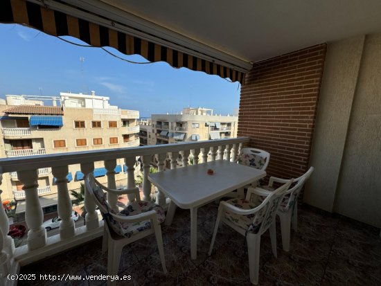 Apartamento en alquiler en Guardamar del Segura (Alicante)