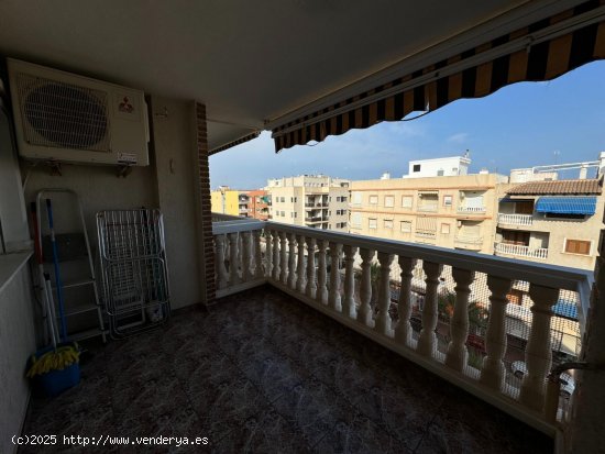 Apartamento en alquiler en Guardamar del Segura (Alicante)