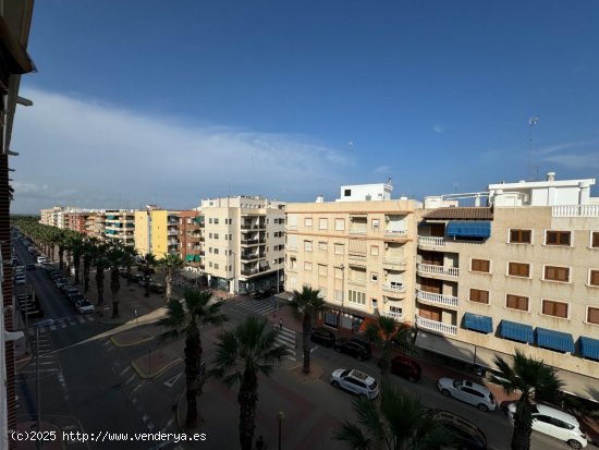 Apartamento en alquiler en Guardamar del Segura (Alicante)