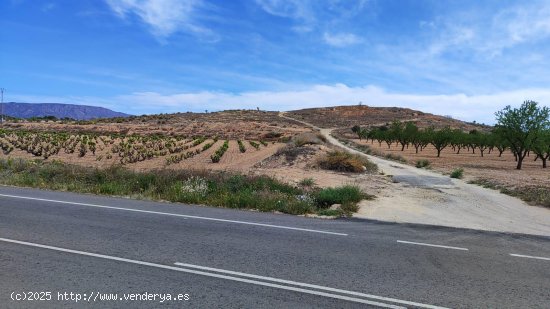 Solar en venta en Pinoso (Alicante)