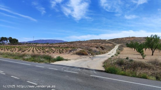 Solar en venta en Pinoso (Alicante)