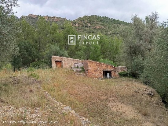 Finca en venta en Alfara de Carles (Tarragona)