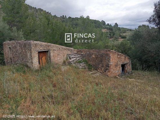 Finca en venta en Alfara de Carles (Tarragona)