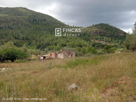 Finca en venta en Alfara de Carles (Tarragona)