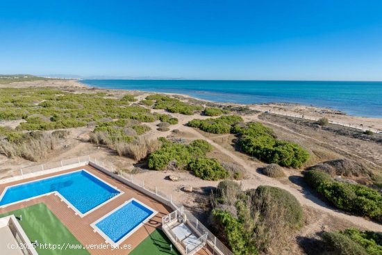 Apartamento en venta en Torrevieja (Alicante)