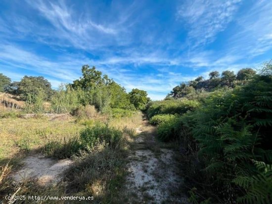 Finca en venta en Valencia de Alcántara (Cáceres)